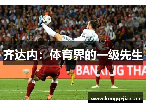 齐达内：体育界的一级先生